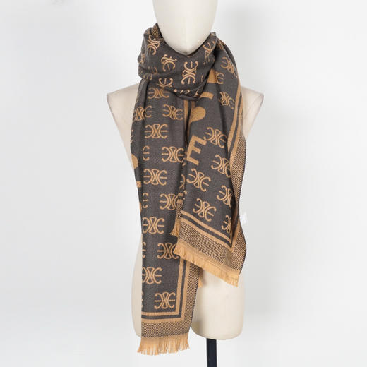 冬季保暖女士长款针织时尚字母流苏围巾C字印花2776 商品图3