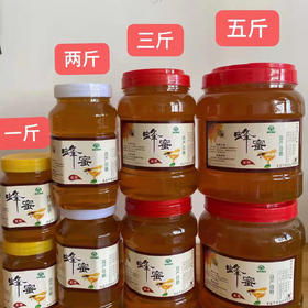 苗家土蜂蜜【1斤罐装】（大山中药材花粉蜜源）