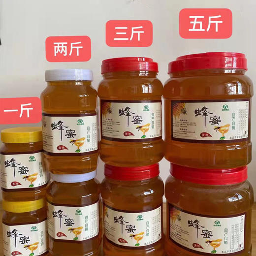 苗家土蜂蜜【1斤罐装】（大山中药材花粉蜜源） 商品图0