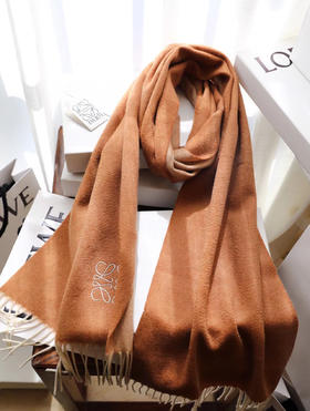 Loewe罗意威最新款双面双色-棕色