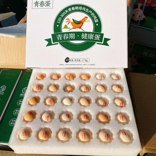 【雁园青春蛋】30枚/盒，5A级品控，天然谷物喂养 商品图1