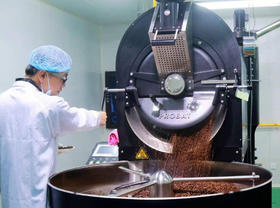 咖啡烘焙|第五阶段-第二爆