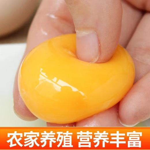 【严选】誉福园橘园谷饲鲜鸡蛋45g/个（厂家直发） 商品图2