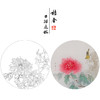 【有步骤】王震工笔画白描底稿圆形小品《牡丹圆光》牡丹翠鸟初学者临摹花鸟线稿WZ12 商品缩略图0