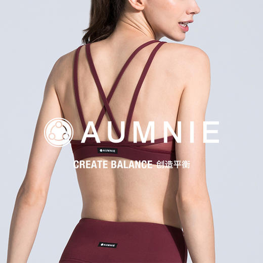 经典胸围 CLASSIC BRA 商品图4