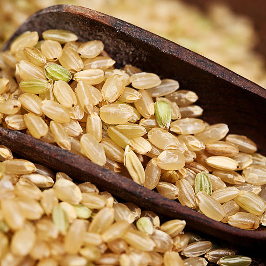 高山硒糙米 700g 商品图2