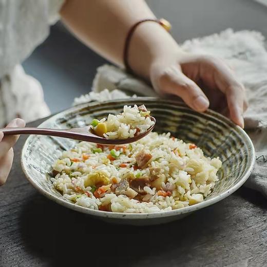 8F 西海日瓷日本进口单盘 商品图0