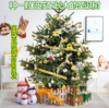【圣诞树】-圣诞树盆栽真树活的挪威云杉圣诞节装饰圣诞绿植 商品缩略图2