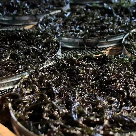 福建东山岛头水紫菜 （头水头、头水中） 商品图2