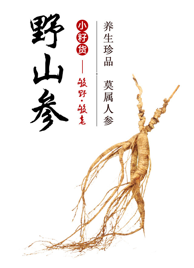野山参东北桓仁小籽货野山参人参个小参力足滋补好礼15年18年
