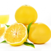 福建爆汁葡萄柚  甜蜜多汁 细嫩化渣 可榨汁可鲜食 商品缩略图0