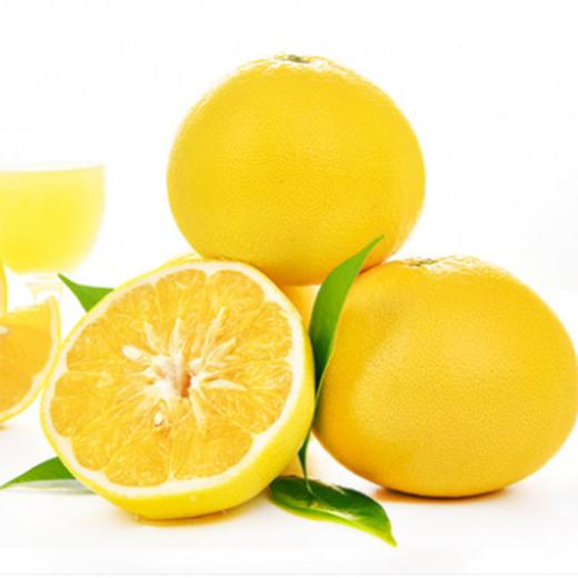 福建爆汁葡萄柚  甜蜜多汁 细嫩化渣 可榨汁可鲜食 商品图0