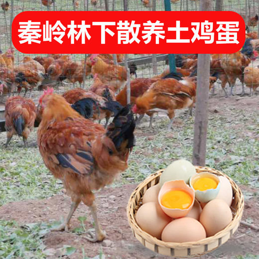 馆长推荐 | 山阳漫川农家散养土鸡蛋10枚 商品图0