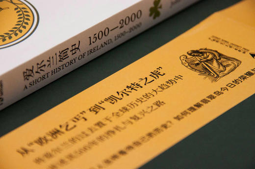 爱尔兰简史（1500—2000）（爱尔兰）约翰·吉布尼（John Gibney） 著  潘良 译  翡翠岛 简史 世界史  广西师范大学出版社 商品图4