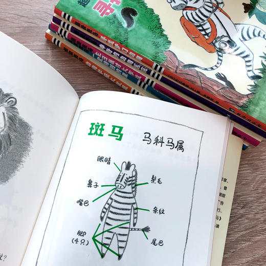 超级斑马（全6册）5-12岁  全面提升孩子素养  解决成长烦恼和学习问题的“伙伴书” 商品图7