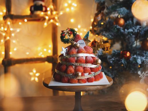 21年草莓树- 圣诞 商品图5