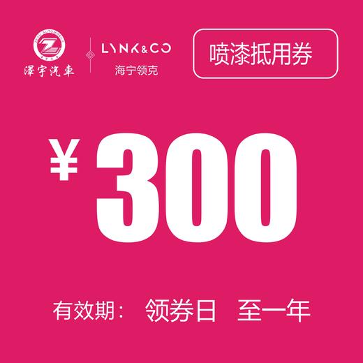 海宁利泽领克 喷漆抵用券 商品图0