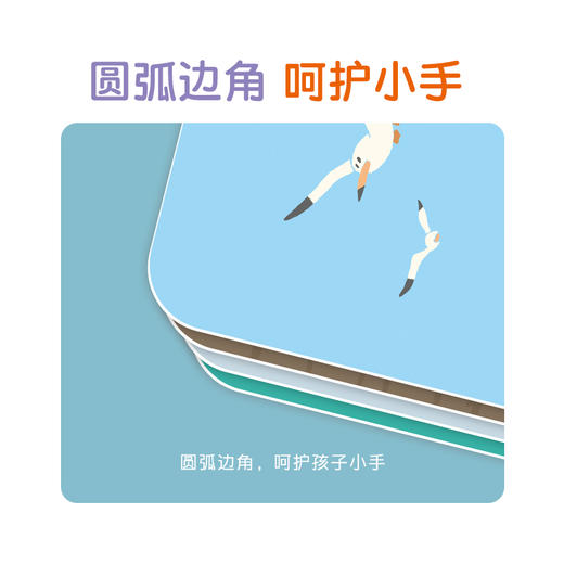 【点读版】点读地板大海报-认知篇8张   0-4岁 商品图5