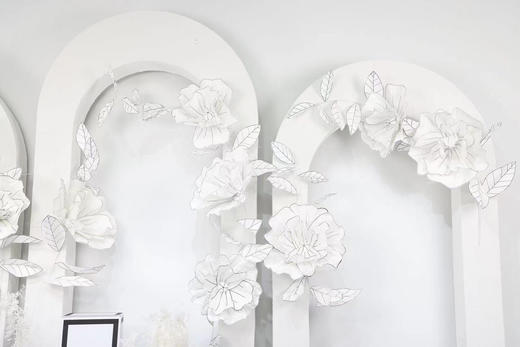 花藤（运费自理） 商品图2