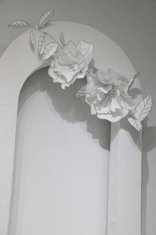 花藤（运费自理） 商品图5