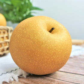 【大口畅快吃】秋月梨 脆嫩多汁 圆润饱满 细腻无渣 入口一股清甜环绕