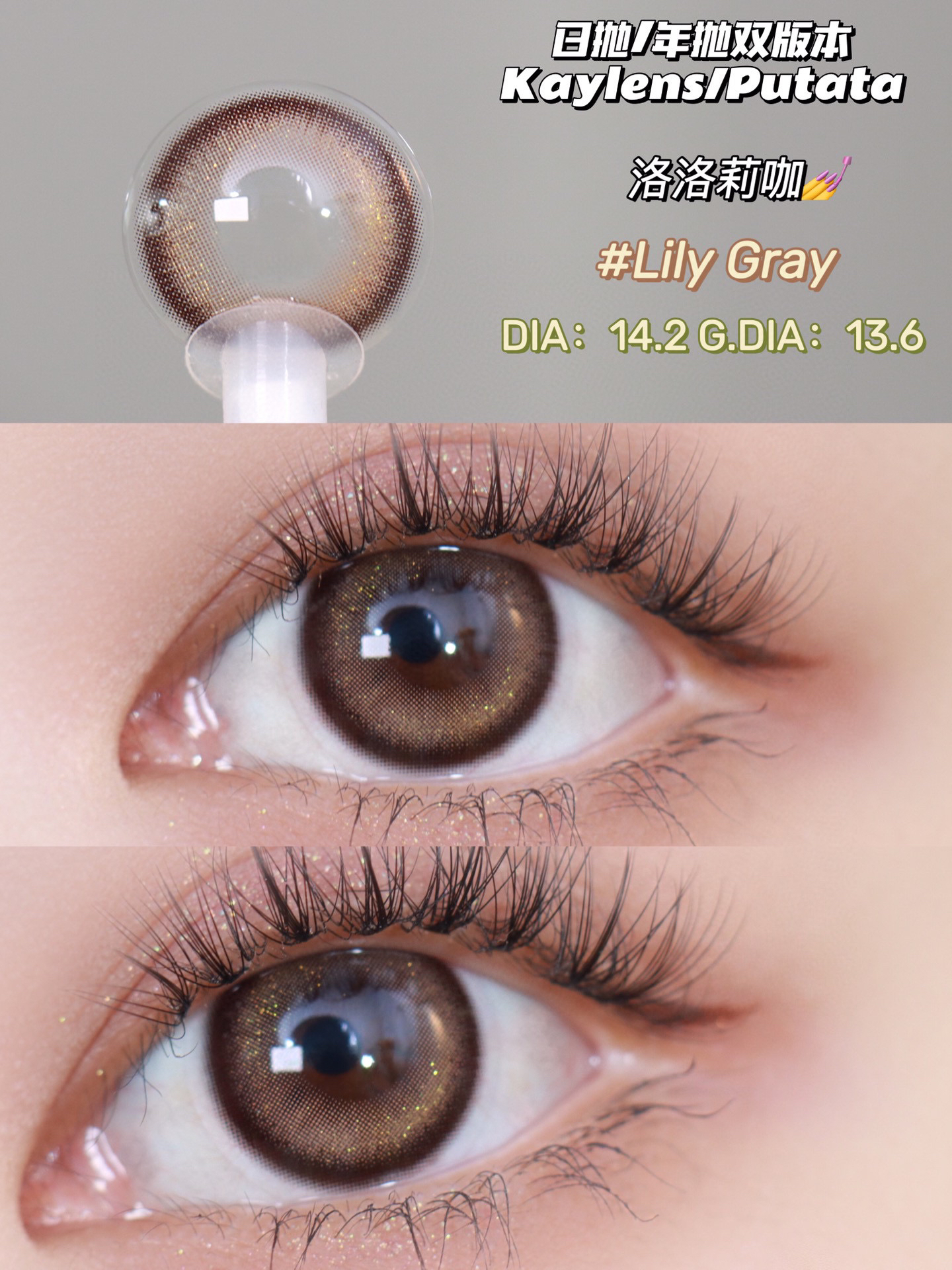 半年抛 美瞳 Kaylens 洛洛莉咖 14.2 细闪棕咖