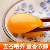【严选】誉福园橘园谷饲鲜鸡蛋45g/个（厂家直发） 商品缩略图1