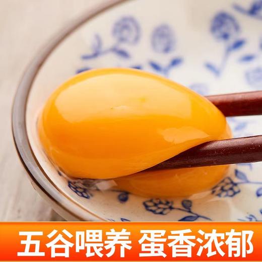 【严选】誉福园橘园谷饲鲜鸡蛋45g/个（厂家直发） 商品图1