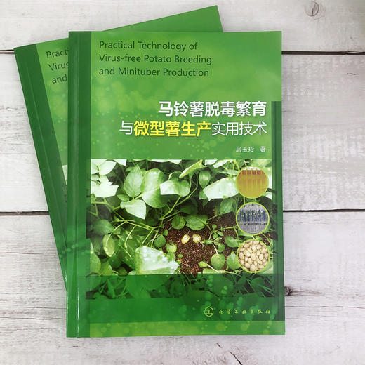 马铃薯脱毒繁育与微型薯生产实用技术 商品图1