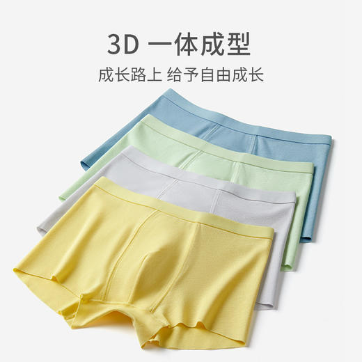 有棵树莫代尔男童内裤3条装C-ST573 商品图3