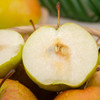 【玉露天香】隰县玉露香梨 细白柔嫩 水润多汁 酥脆无渣 独特稀有 初恋般甜蜜 商品缩略图2