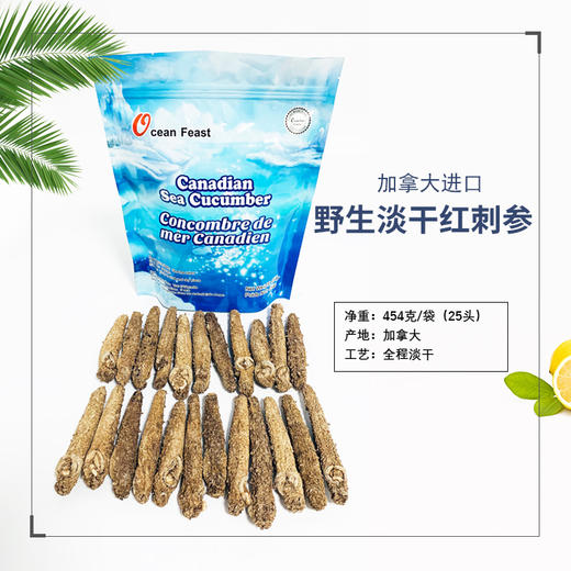 Ocean Feast阿拉斯加红刺参袋装【25头/454g】 商品图0