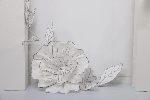 花藤（运费自理） 商品图1