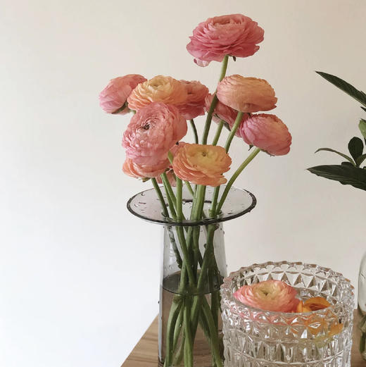 【香槟洋牡丹】5支/份 第二份减10元 商品图5