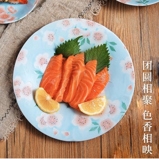 8F 西海日瓷日本进口大盘 商品图0