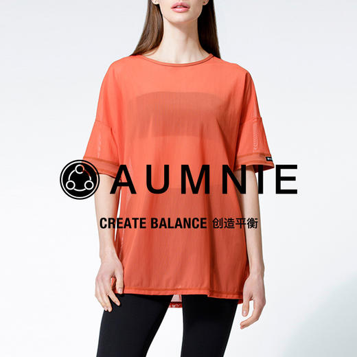 OVERSIZED MESH TEE/宽松网纱T恤 商品图11