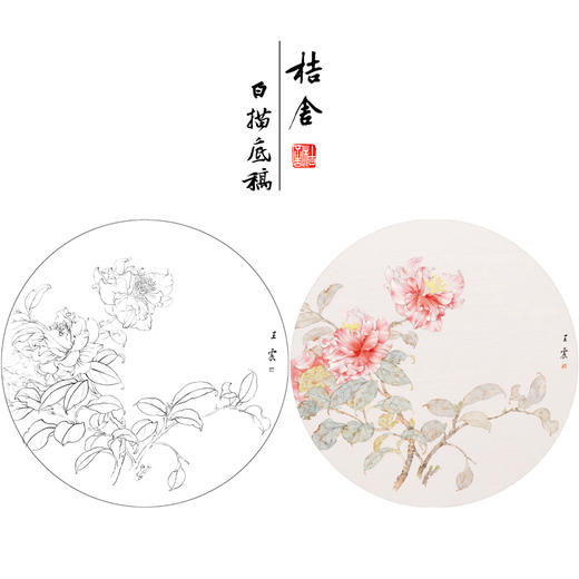 【有步骤】王震工笔画白描底稿圆形小品《茶花图》初学者临摹花鸟线稿WZ24 商品图0