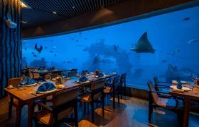 【三亚海棠湾天房洲际】梦幻草坪、海底餐厅，梦中的婚礼场地。