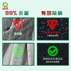 碧浪衣物家居除菌液1L（除菌液洗衣液组合）