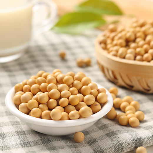 高山硒黄豆 700g 商品图2