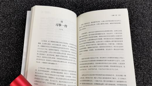 站桩研习必读 《意无止境》武林宗师王芗斋拳道汇宗站桩修习次第 商品图7