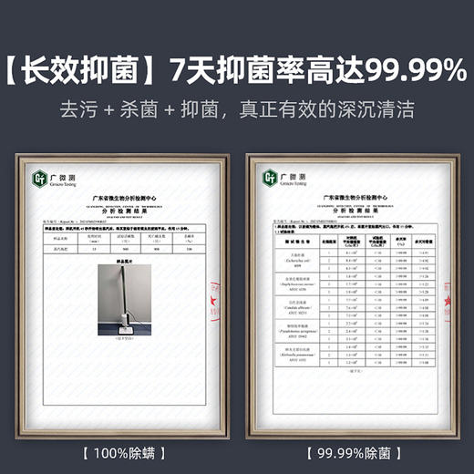 蓝宝家用蒸汽拖把电动高温清洁机无线拖地机 商品图4