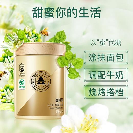 森蜂园-长白山椴树原蜜550g（绿色食品） 商品图3