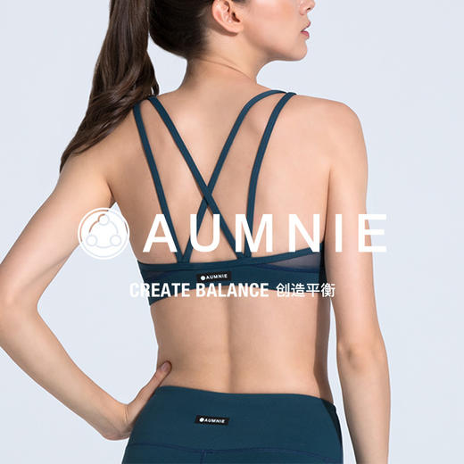 经典胸围 CLASSIC BRA 商品图8