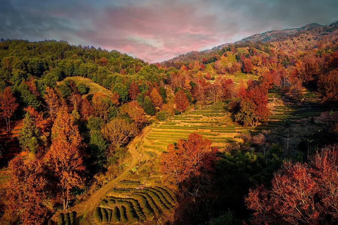 河源茶山醉美红叶、缺牙山云海、林寨古村、神仙坝日落、“极致光影美学建筑”诗之礼堂3天摄影团