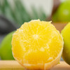 【橙意满满】云南冰糖橙 鲜嫩多汁 橙香四溢 清甜水润 满满的VC让你惊喜 商品缩略图2