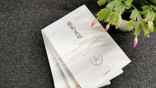 站桩研习必读 《意无止境》武林宗师王芗斋拳道汇宗站桩修习次第 商品图6