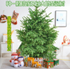 【圣诞树】-圣诞树盆栽真树活的挪威云杉圣诞节装饰圣诞绿植 商品缩略图0