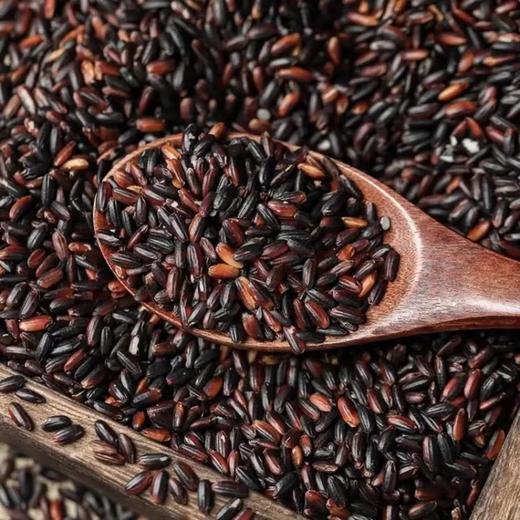 【严选】燕之坊血糯米1KG/袋（厂家直发） 商品图3