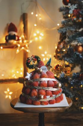 21年草莓树- 圣诞